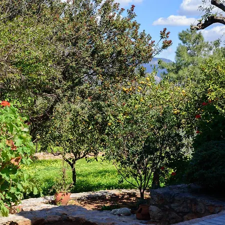 Eleni's House * Asopos