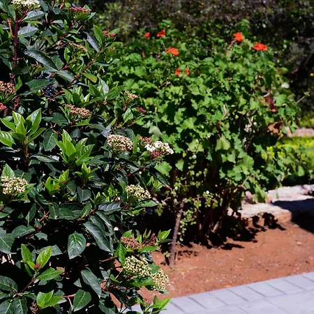 Vakantiehuis Eleni's House