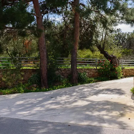 Eleni's House * Asopos