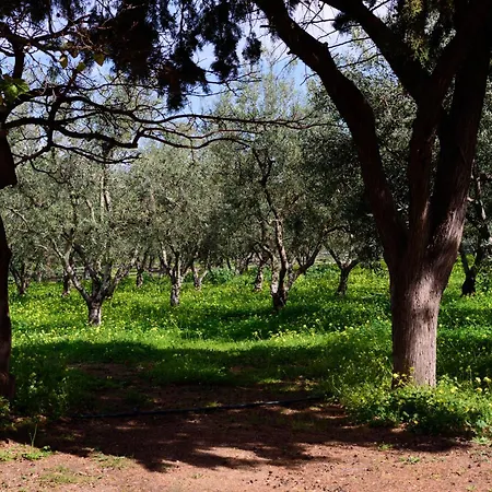 Eleni's House 別荘 *