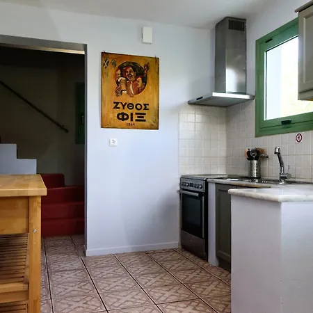 Eleni's House