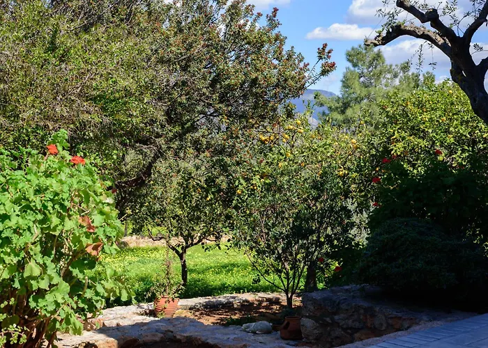 Eleni's House * Asopos