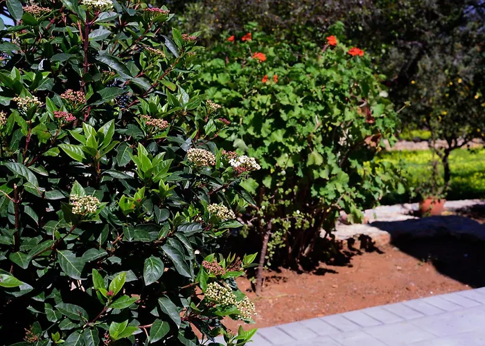 Holiday home Eleni's House