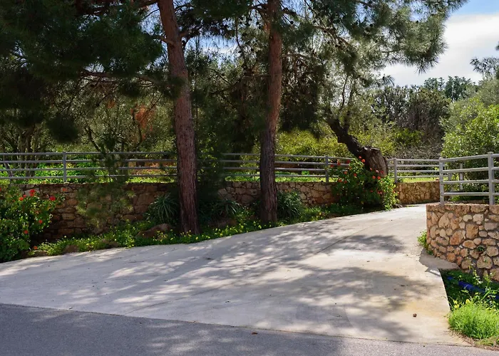 Eleni's House * Asopos