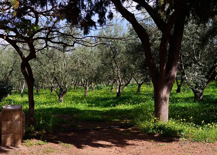 Eleni's House Feriehus *